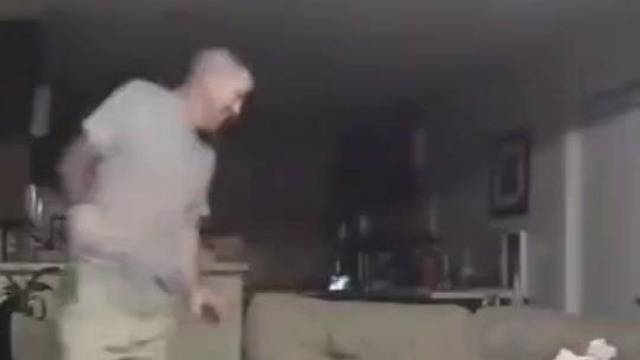 另外两只狗：兄弟你今晚是无了