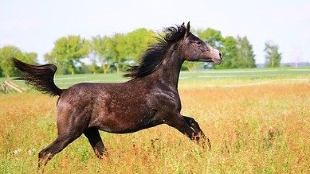 一切生命都值得尊重！