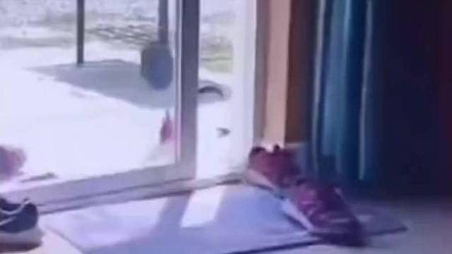 天冷了主人不想起床，大公鸡看不下去了！