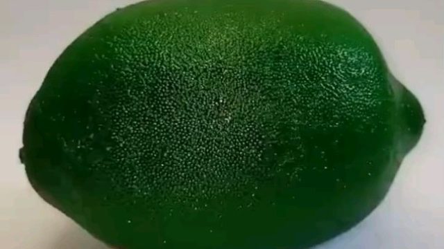 各种水果蔬菜烘干过程