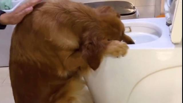 小喝怡情偷喝伤身