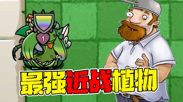 植物大战僵尸：击退击退再击退！这就是现在的近战植物现状吗？