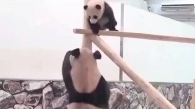 没点绝活当不了国宝