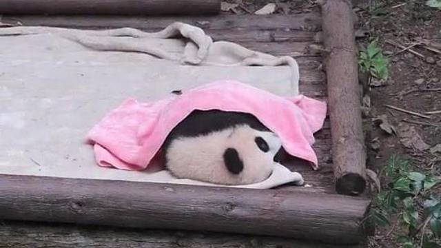 这活儿好像我也能干