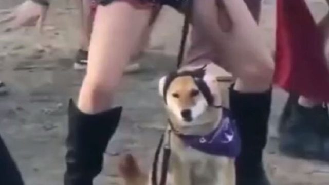 我发布了一个新视频，快来看看吧~