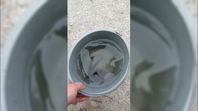 今天下午两点多出去找钓位了。