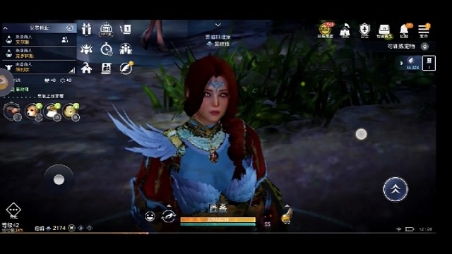 黑色沙漠国服先遣服第五只宠物熊猫