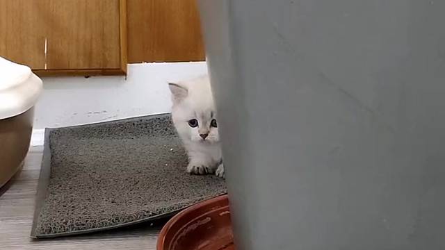 啊打……打扰了！