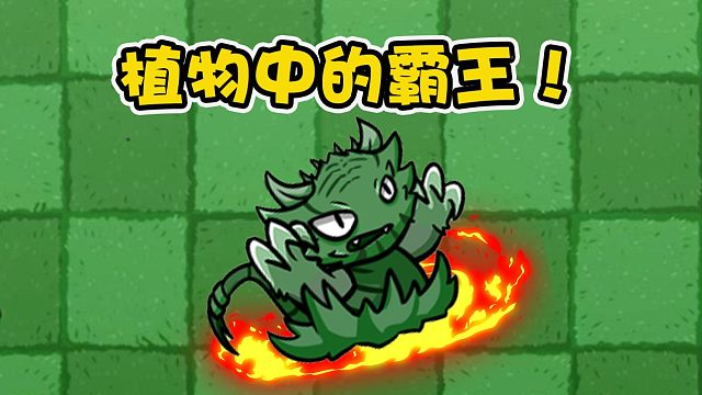 植物大战僵尸：植物中的霸王野虎草！巨大的双爪可以轻松撕碎僵尸