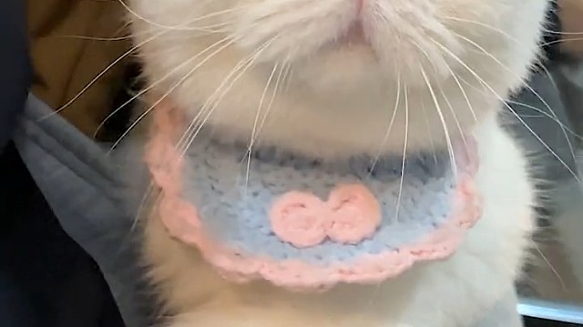 人家有点害羞哦