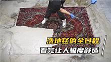 这块地毯号称“淤泥之王”，整个清洗过程极度舒适，看完很满足