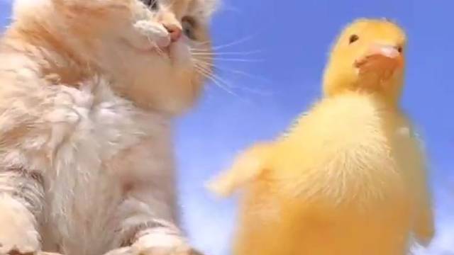 你们不会有结果的，趁早分了吧