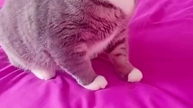 看着眼神，应该是没把你放眼里