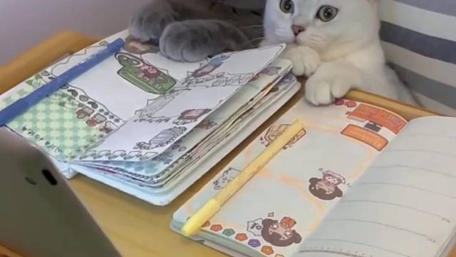 当你和女朋友一起追剧！