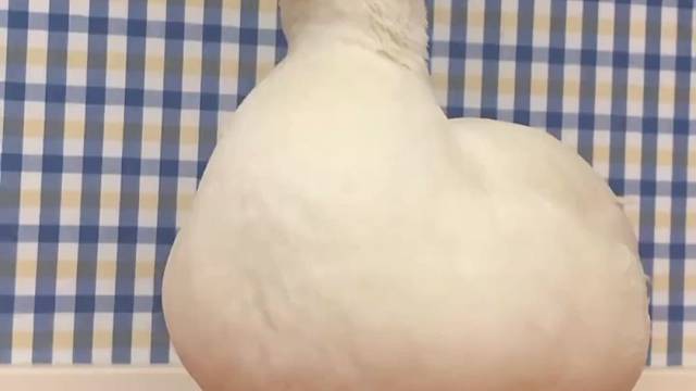 它在动次打次左摇右摆