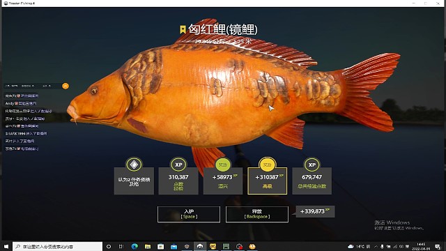 花仙子的红色惊喜