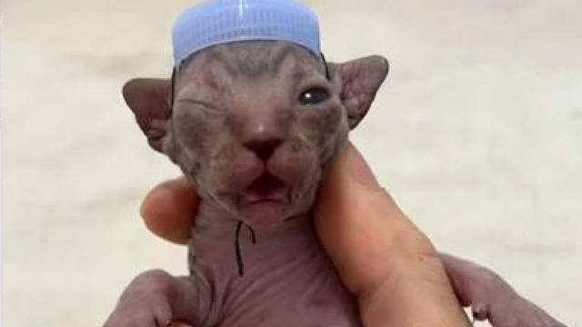 头盔都没这个功能多哈哈