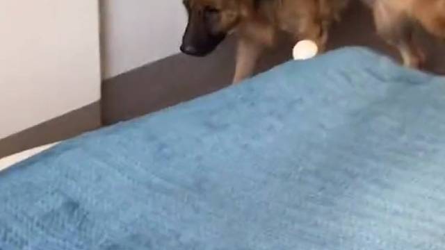 我小心翼翼的接近你，你却让我滚，果然，女人都是无情又残忍