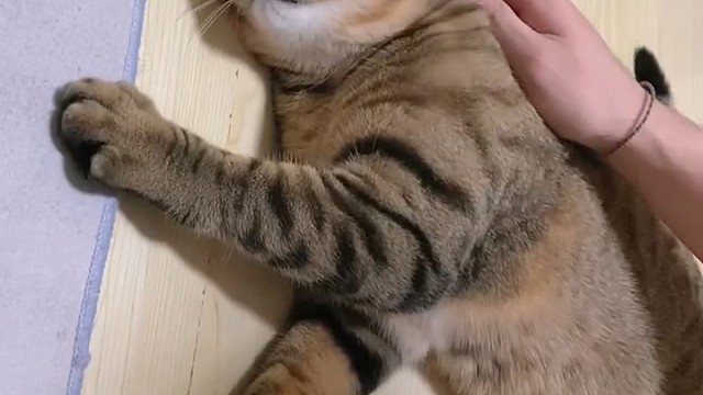 跟我斗，你还嫩了点