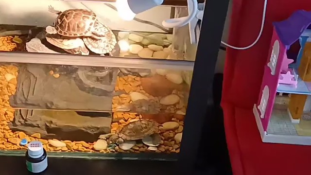 就没有地方了吗？全挤在一起