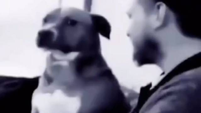 老子忍你很久了