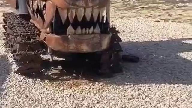 这个皮肤怎么样