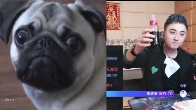 子龙82年拉菲终于开了，在线“整活儿”惊呆小伙伴！#虎牙校园视频创作大赛##今天也要守护我#