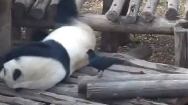 这建筑材料有点贵