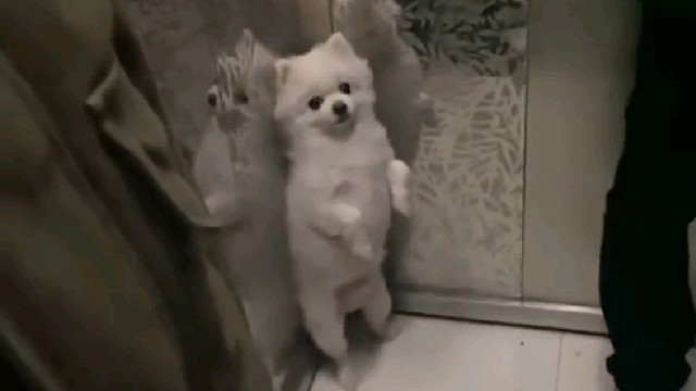 在里面不吱声的，出去了叫啥