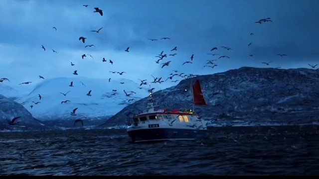 网约车司机知道的派单规则！