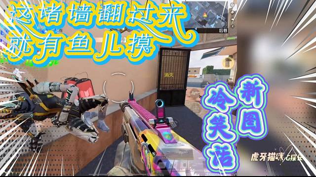 这堵墙内外来回折腾能摸到鱼