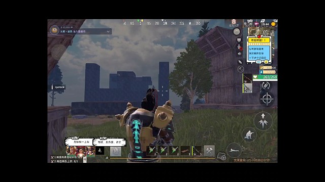 鸟弹满天飞，大团卡蒙圈