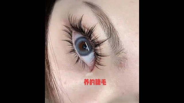 养出永久长睫毛