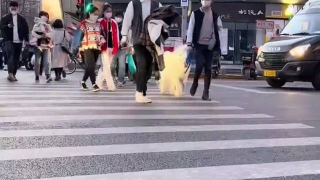 马长那么矮，大家都说可爱，我长那么矮，别人都说土豆成精