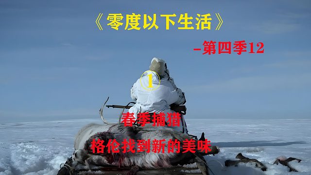 d154集：春天捕猎驯鹿 #零度以下的生活#纪录片