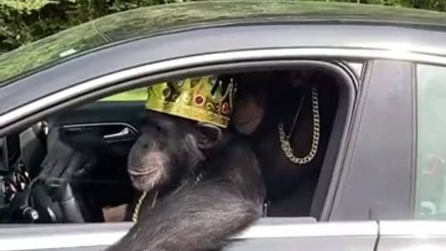 金刚已经找到对象了，你呢？