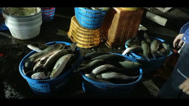渔民生活实拍