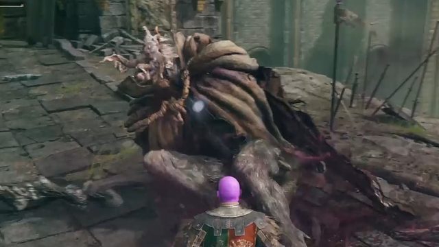 我一直不知道噩兆还有那么呆的时候