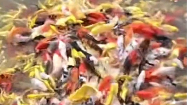 我仿佛看到了今年的考研形势……