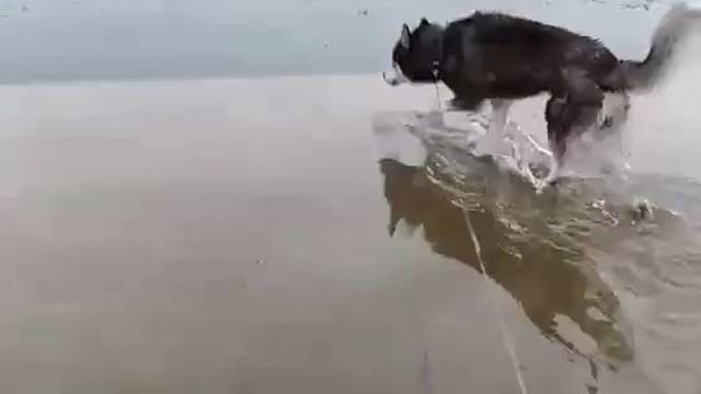 瞅啥那，快过来拉我一把！