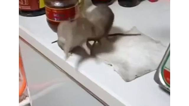 对不起，打扰了