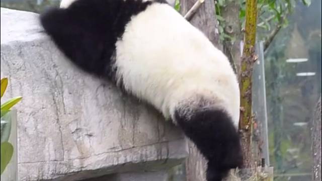 用到腿时方恨短。