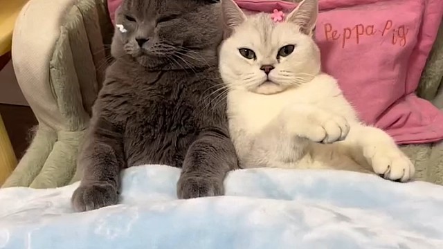 这一看，平时就没少挨揍