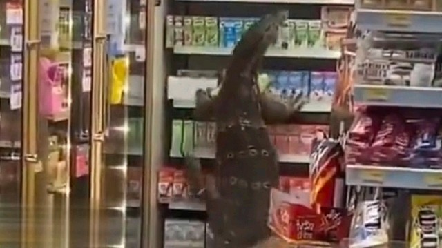 没想到逛个超市被吓到了