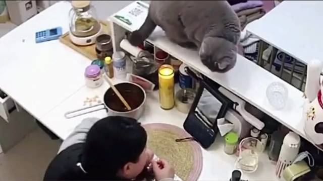 诶，我就走个神的功夫。