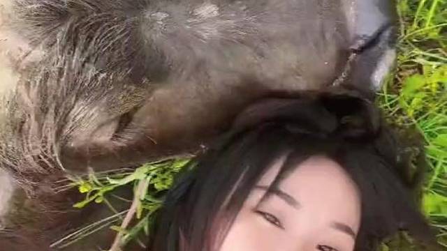 “靓仔，一起放牛哇”