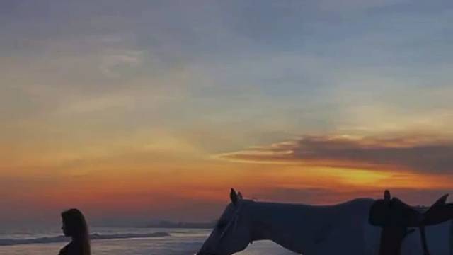 还会回来的你会等我吗