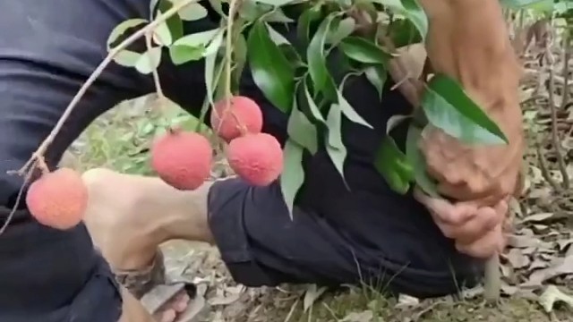 我发布了一个新视频，快来围观吧！