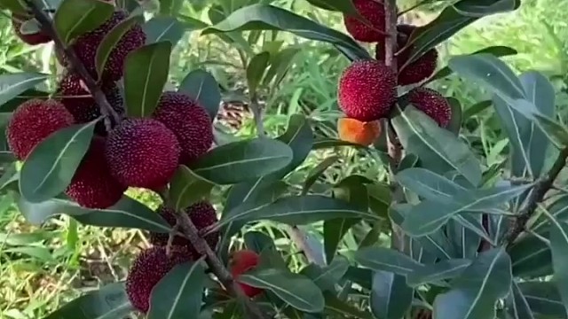 我发布了一个新视频，快来围观吧！