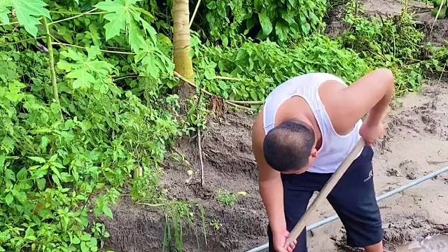 干啥你都不行、吃饭你就第一名